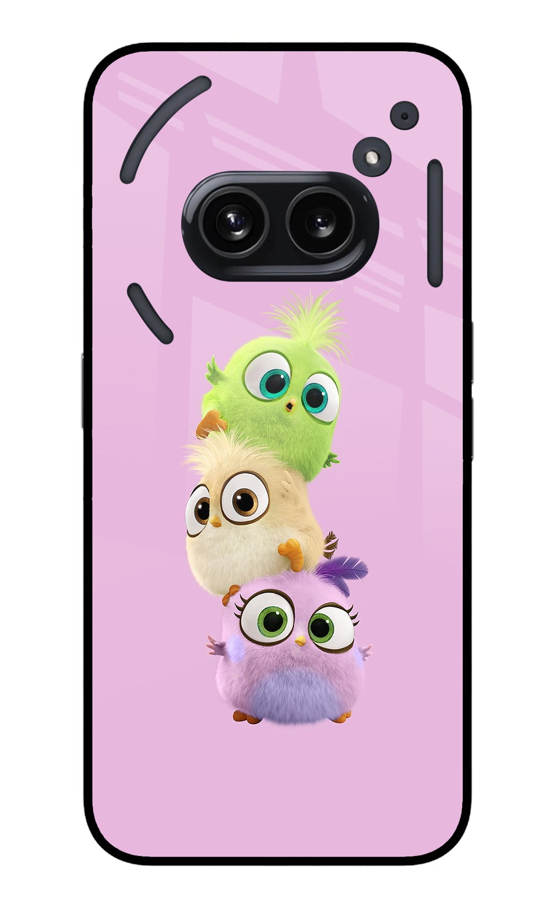 Cute Little Birds Nothing Phone 2A Back Cover