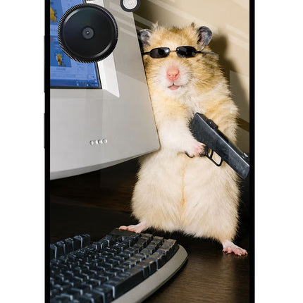 Hacker Hamster Redmi 13C 5G Glass Case