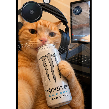 Gamer Cat Energy Redmi 13C 5G Glass Case