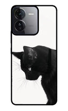 Shadow Gaze iQOO Z9 5G Glass Case