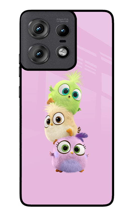 Cute Little Birds Moto Edge 50 Pro 5G Glass Case