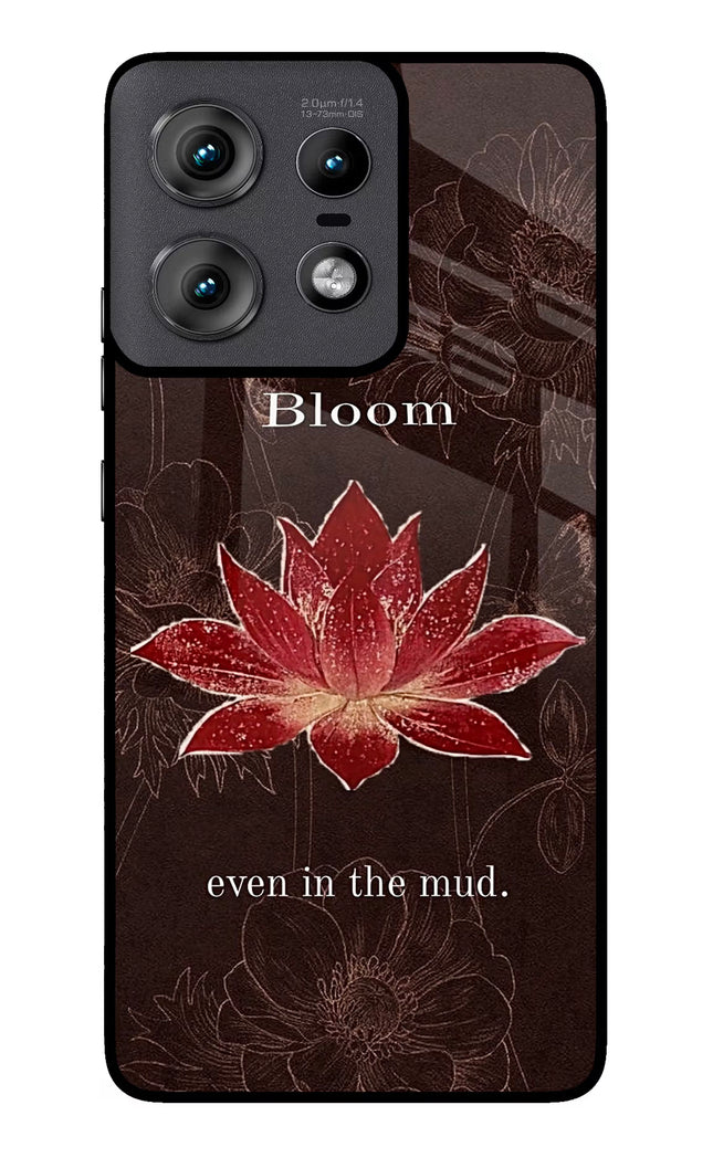 Bloom Moto Edge 50 Pro 5G Glass Case