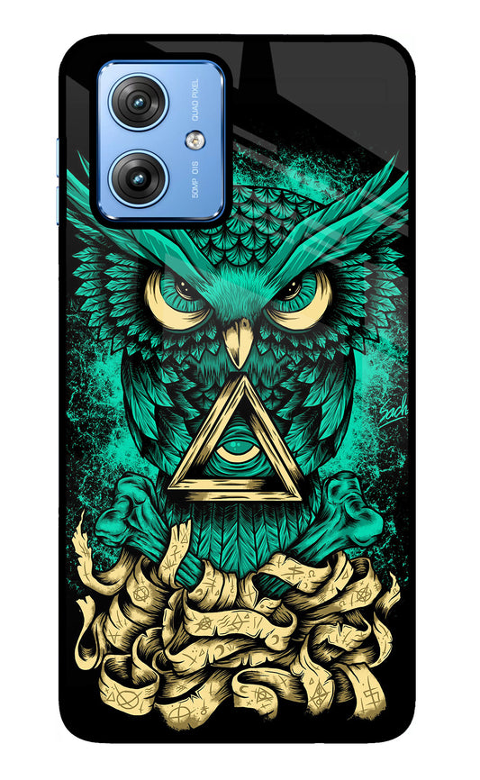 Green Owl Moto G64 5G Glass Case