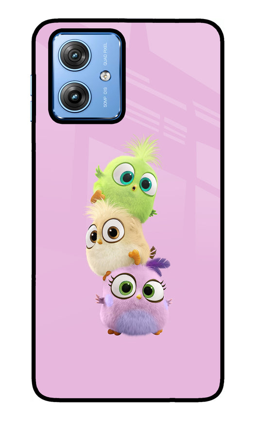 Cute Little Birds Moto G64 5G Glass Case