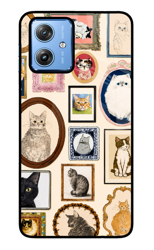 Mirror Cats Moto G64 5G Glass Case
