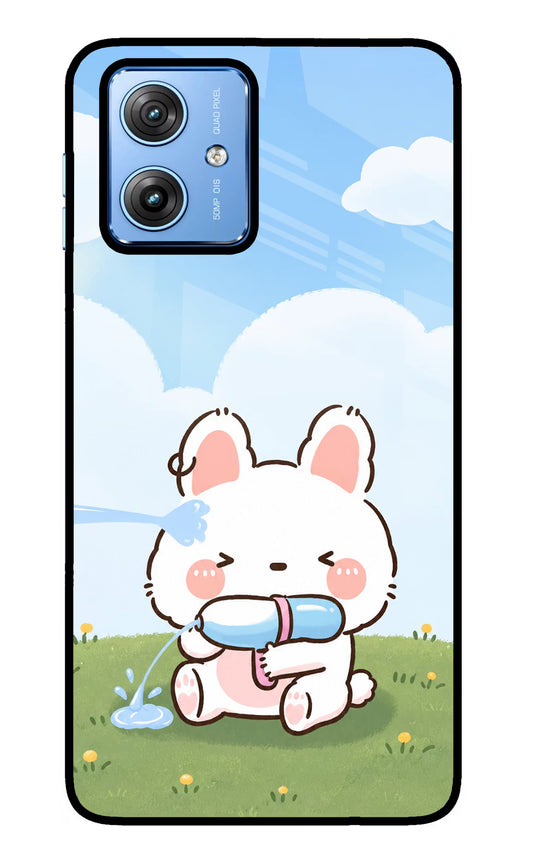 Bunny Treat Moto G64 5G Glass Case