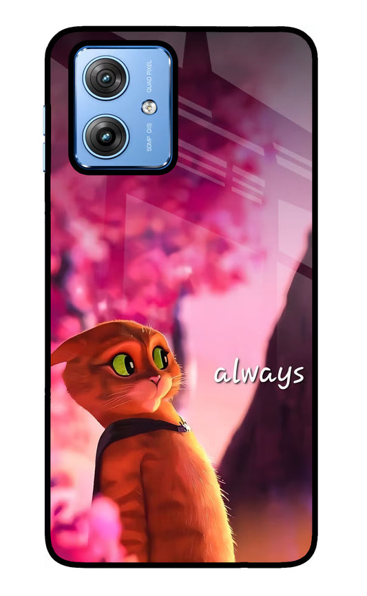 Always Cat Moto G64 5G Glass Case