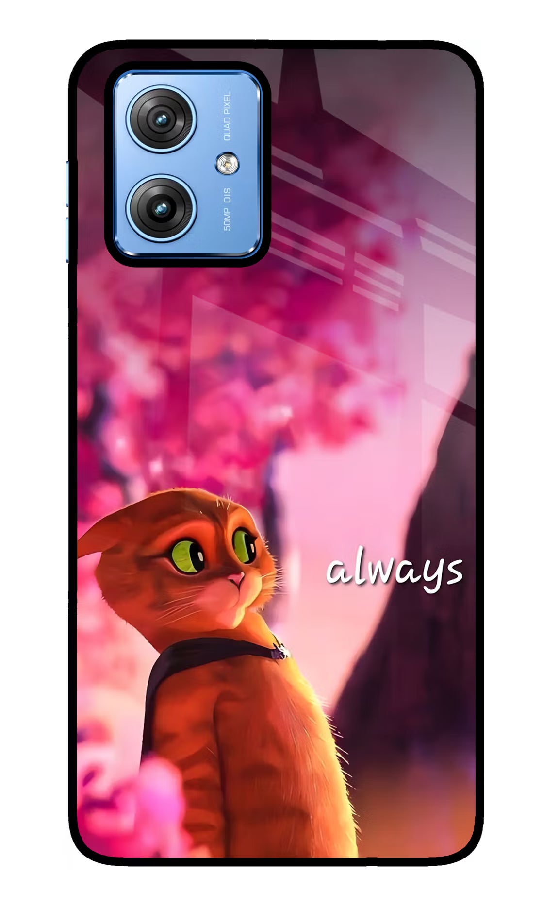 Always Cat Moto G64 5G Glass Case Back Cover by Casekaro