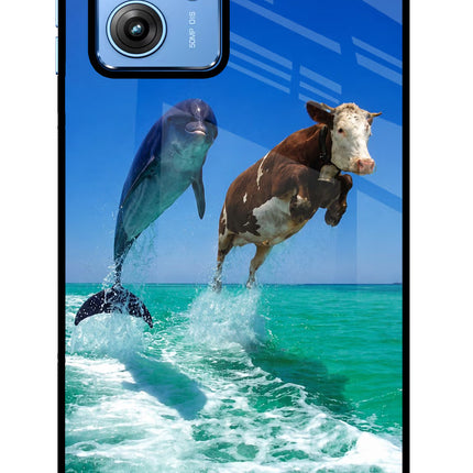 Dolphin vs Cow Moto G64 5G Glass Case Back Cover by Casekaro