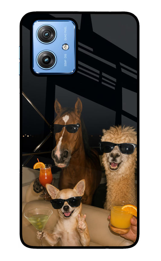 Party Squad Moto G64 5G Glass Case