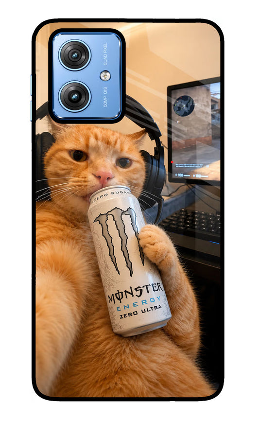 Gamer Cat Energy Moto G64 5G Glass Case