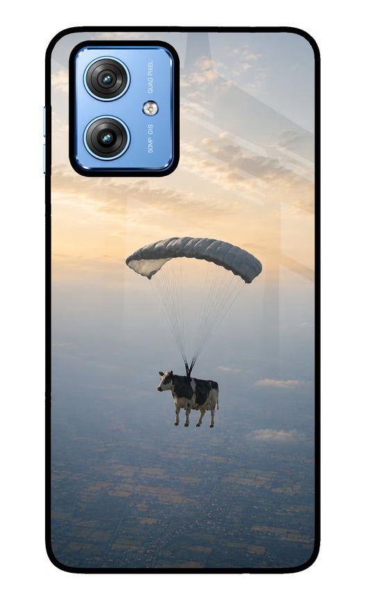 Skydiving Cow Moto G64 5G Glass Case