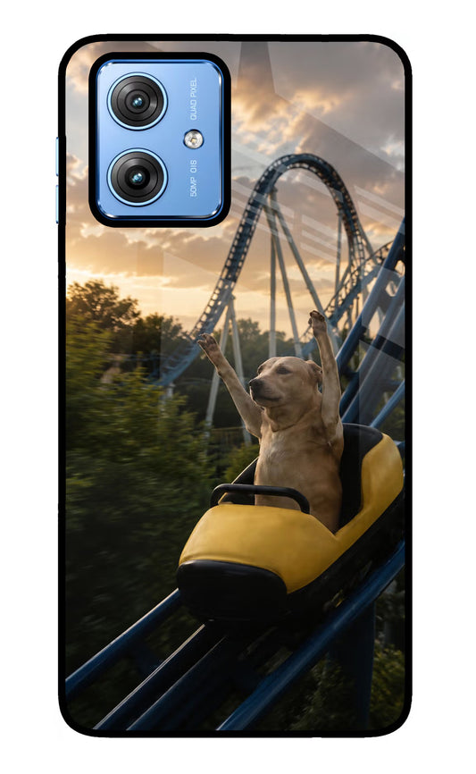 Rollercoaster Dog Moto G64 5G Glass Case