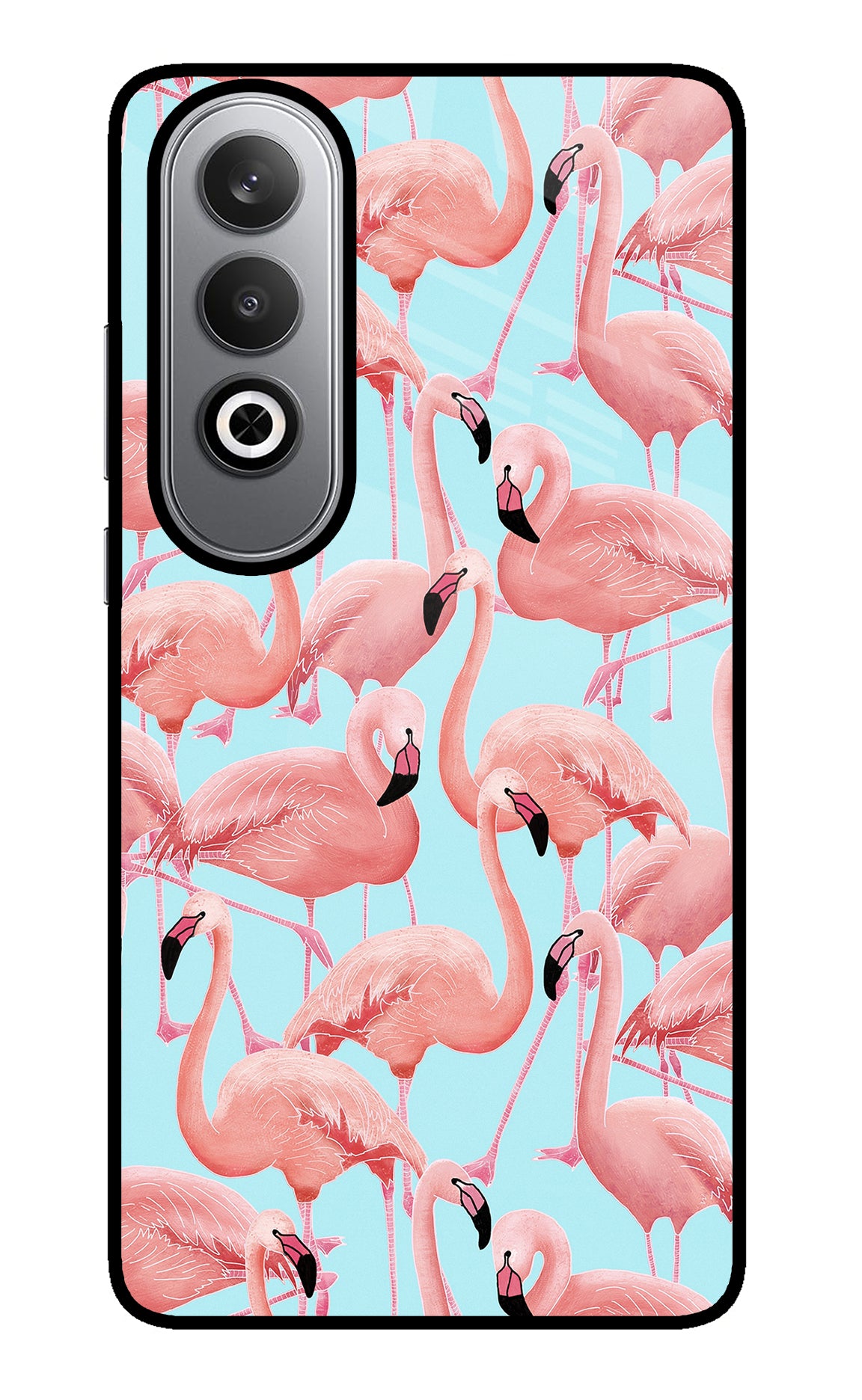 Flamboyance Oneplus Nord CE4 Glass Case