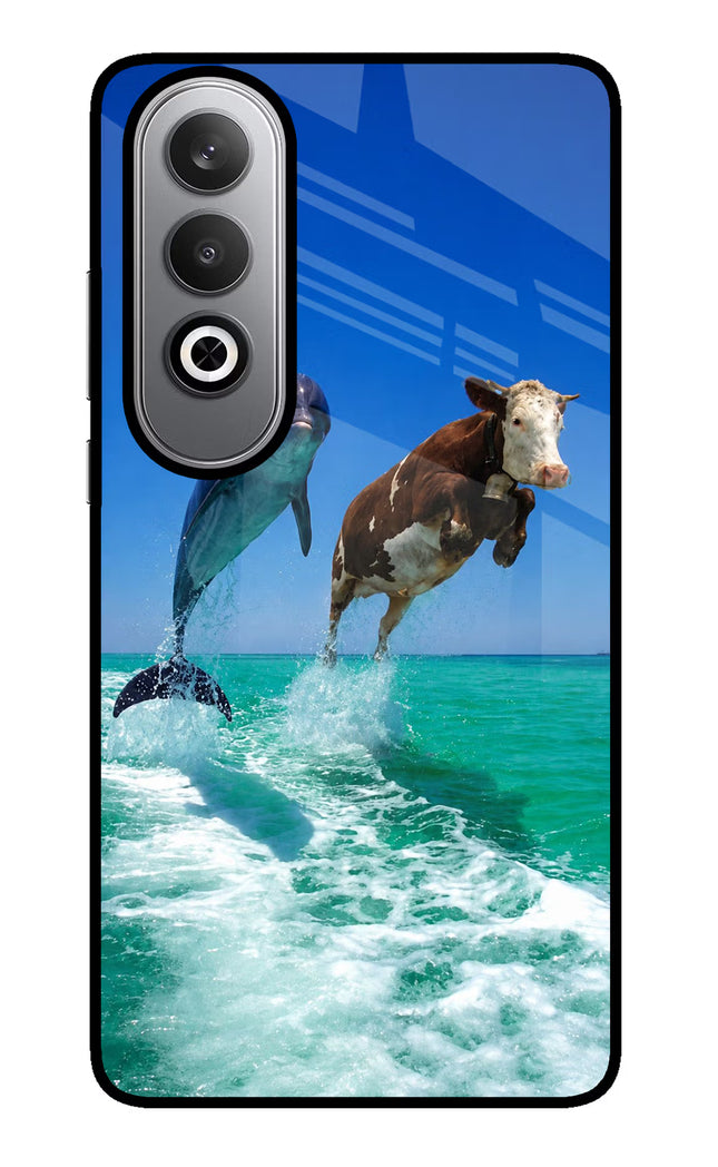 Dolphin vs Cow Oneplus Nord CE4 Glass Case