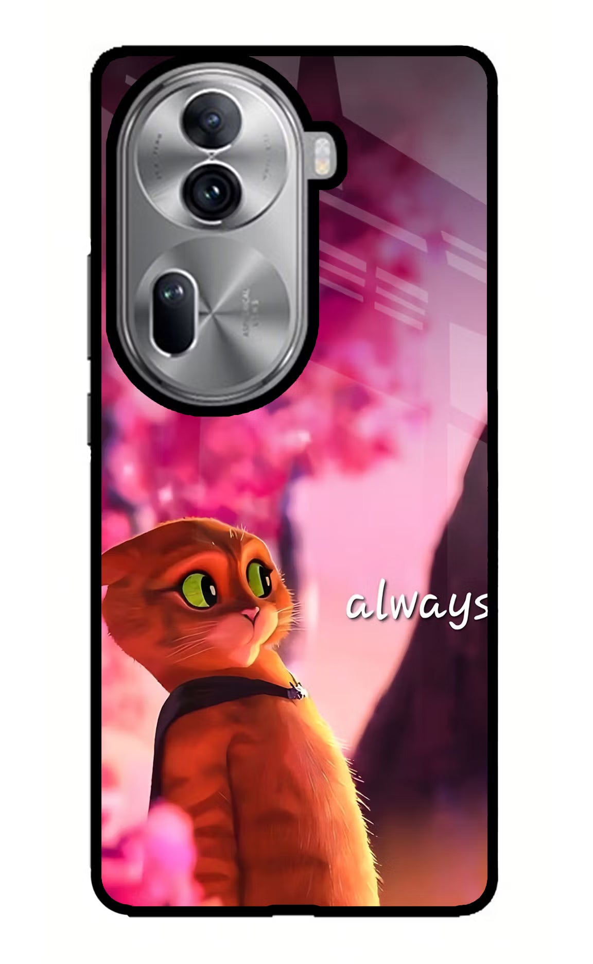 Always Cat Oppo Reno11 Pro 5G Glass Case
