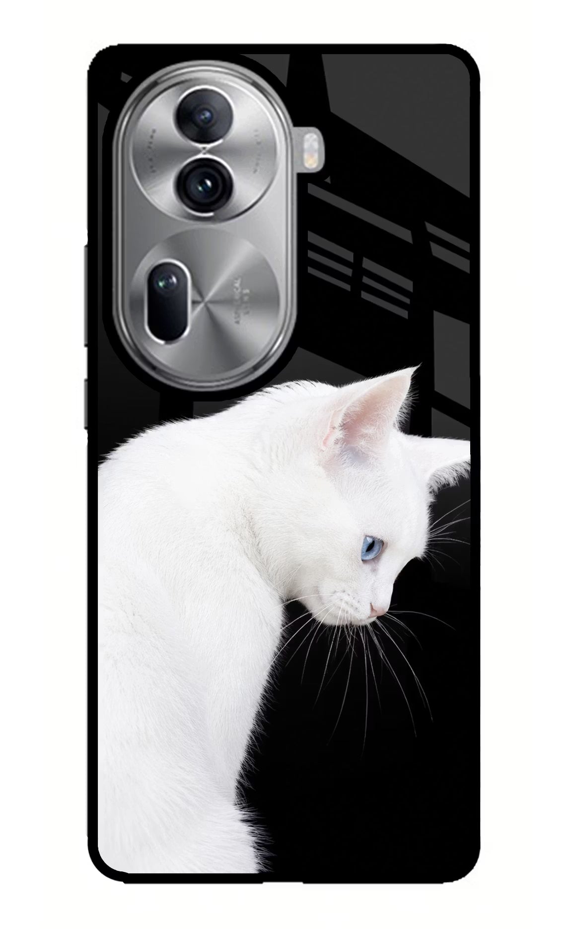Snow Gaze Oppo Reno11 Pro 5G Glass Case