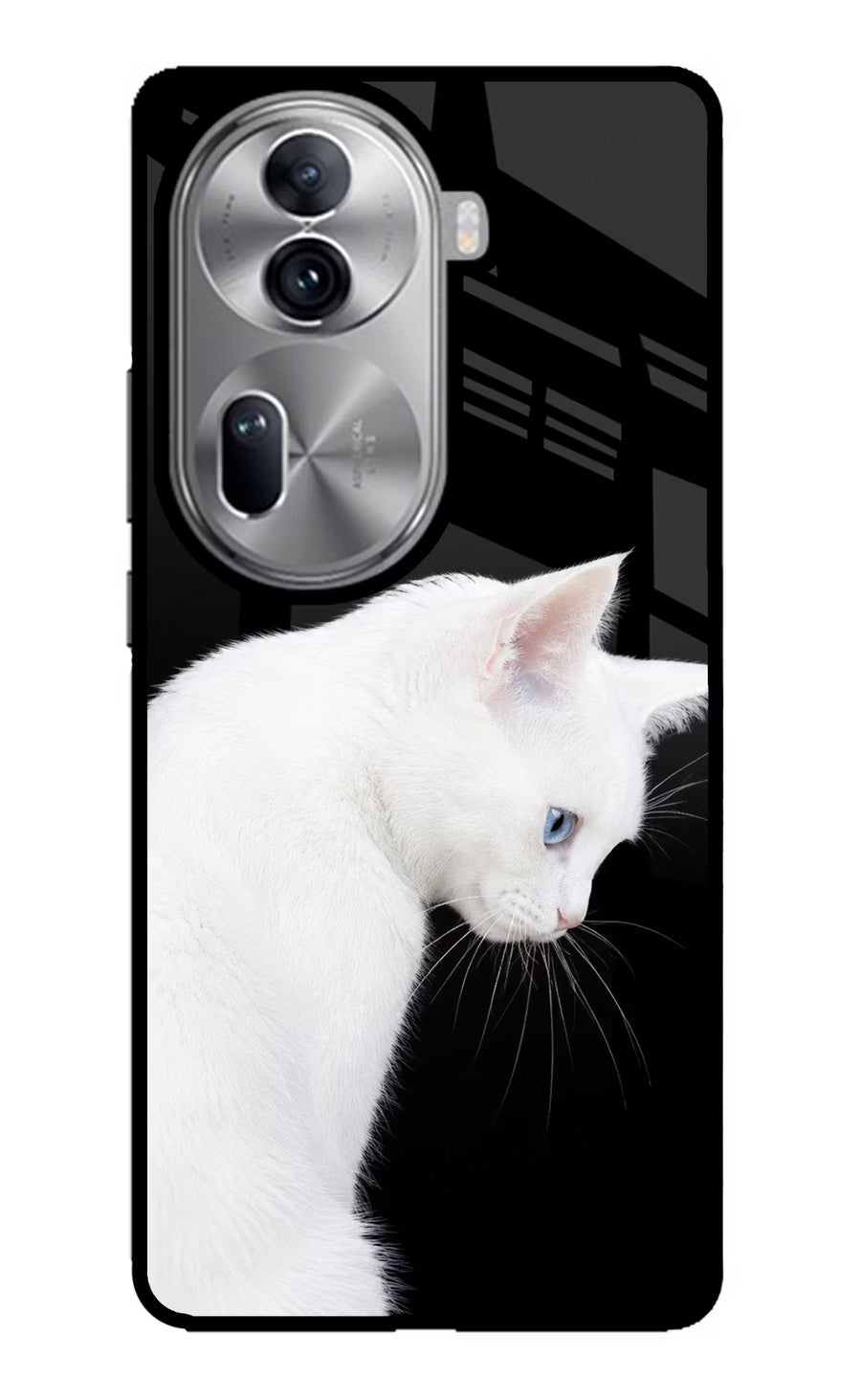 Snow Gaze Oppo Reno11 Pro 5G Back Cover, Glass case
