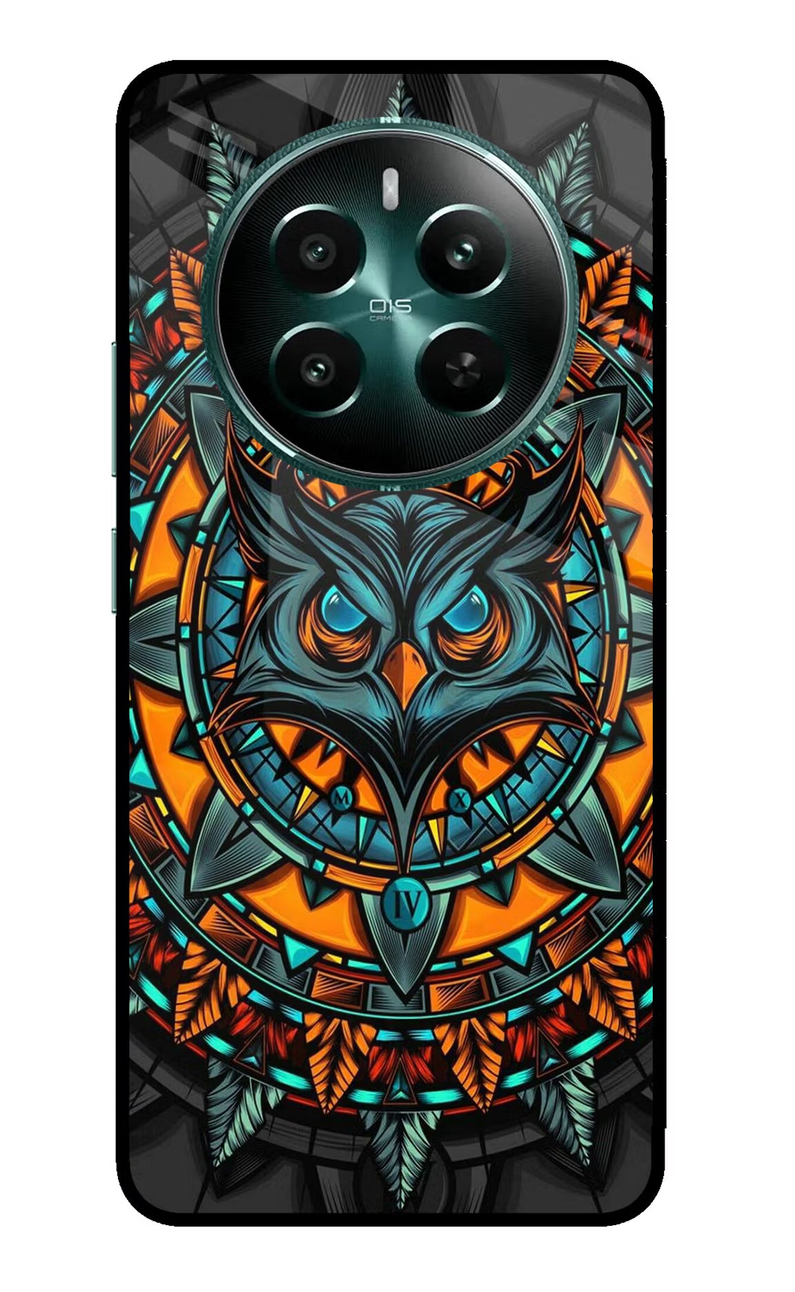 Angry Owl Art Realme 12+ 5G Glass Case Back Cover by Casekaro