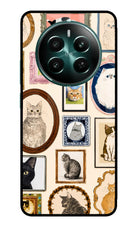 Mirror Cats Realme 12+ 5G Glass Case