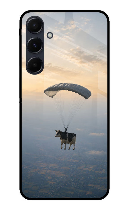 Skydiving Cow Samsung A35 5G Glass Case