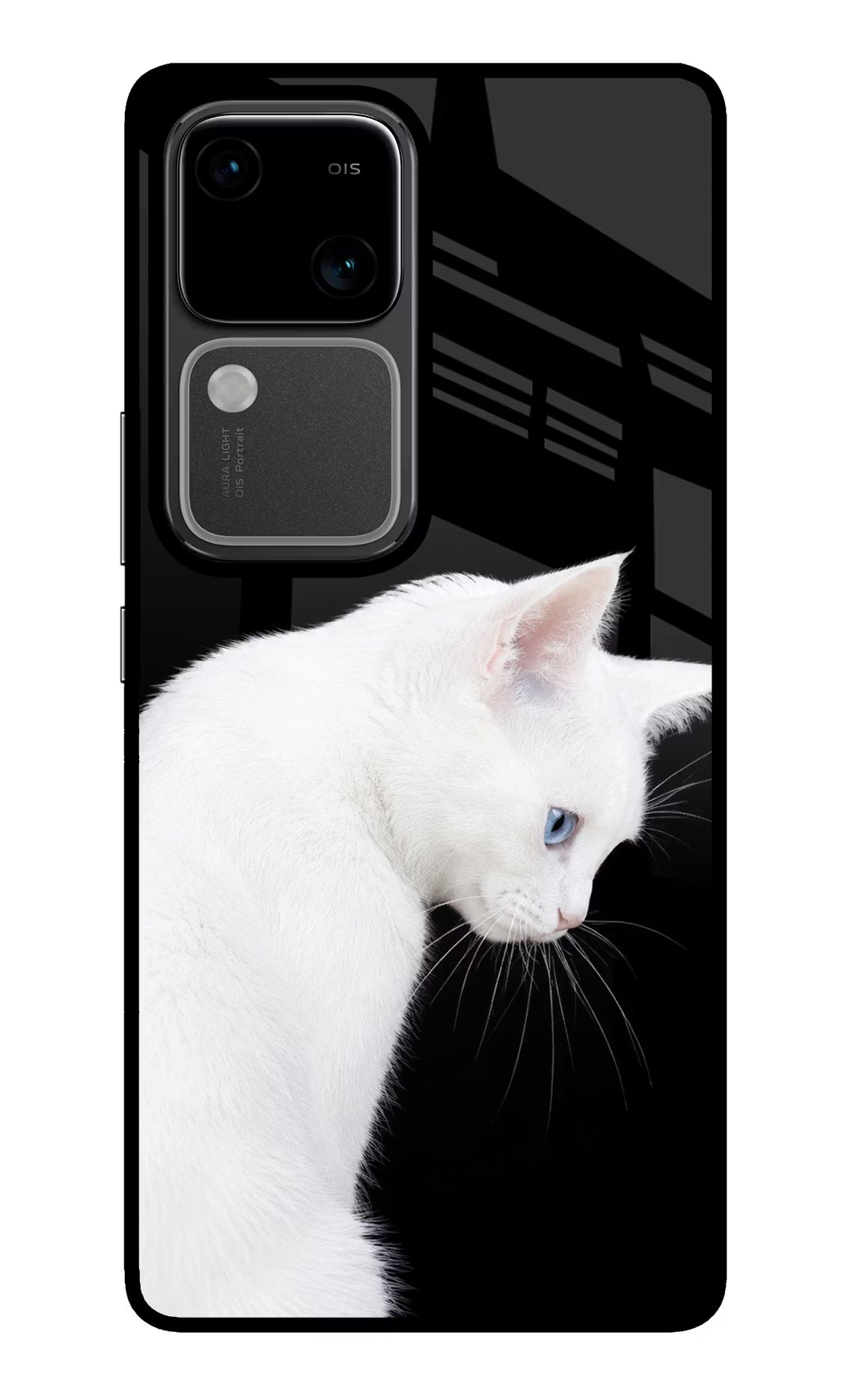 Snow Gaze Vivo V30 5G Glass Case