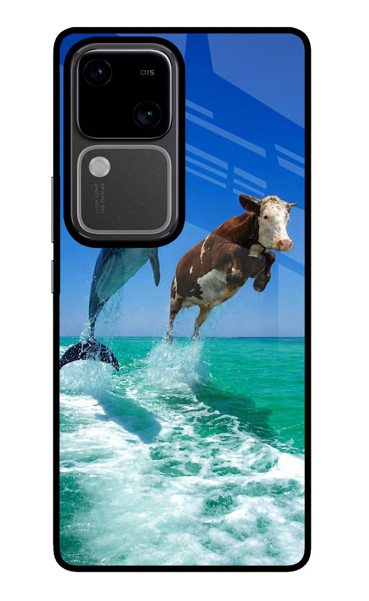 Dolphin vs Cow Vivo V30 5G Glass Case