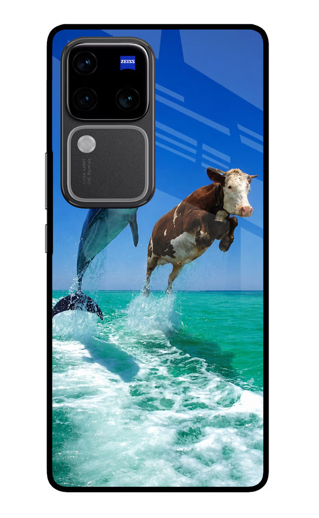 Dolphin vs Cow Vivo V30 Pro 5G Glass Case