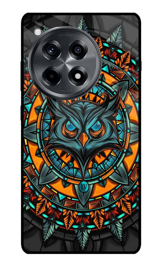 Angry Owl Art OnePlus 12R Glass Case