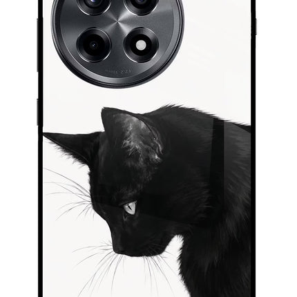 Shadow Gaze OnePlus 12R Glass Case Back Cover by Casekaro
