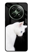 Snow Gaze Realme 12 5G Glass Case
