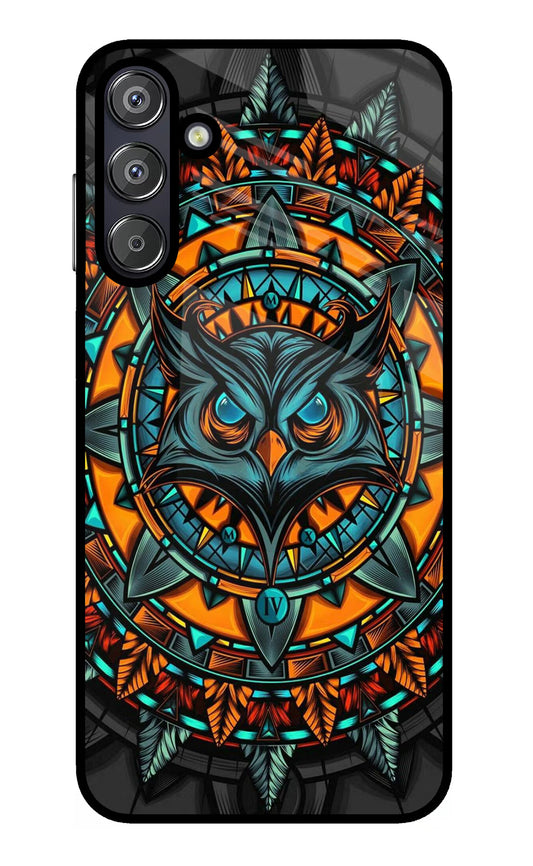 Angry Owl Art Samsung F15 5G Glass Case