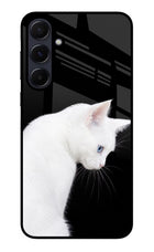Snow Gaze Samsung A55 5G Glass Case