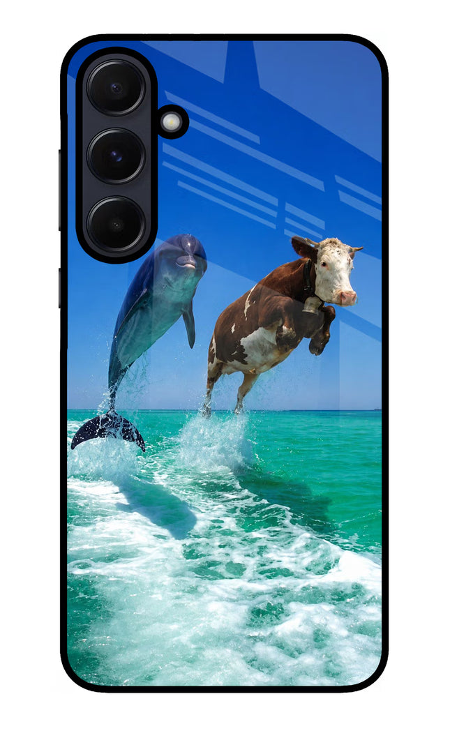 Dolphin vs Cow Samsung A55 5G Glass Case