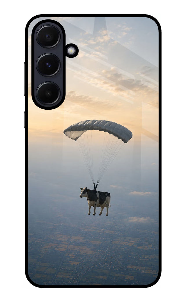 Skydiving Cow Samsung A55 5G Glass Case