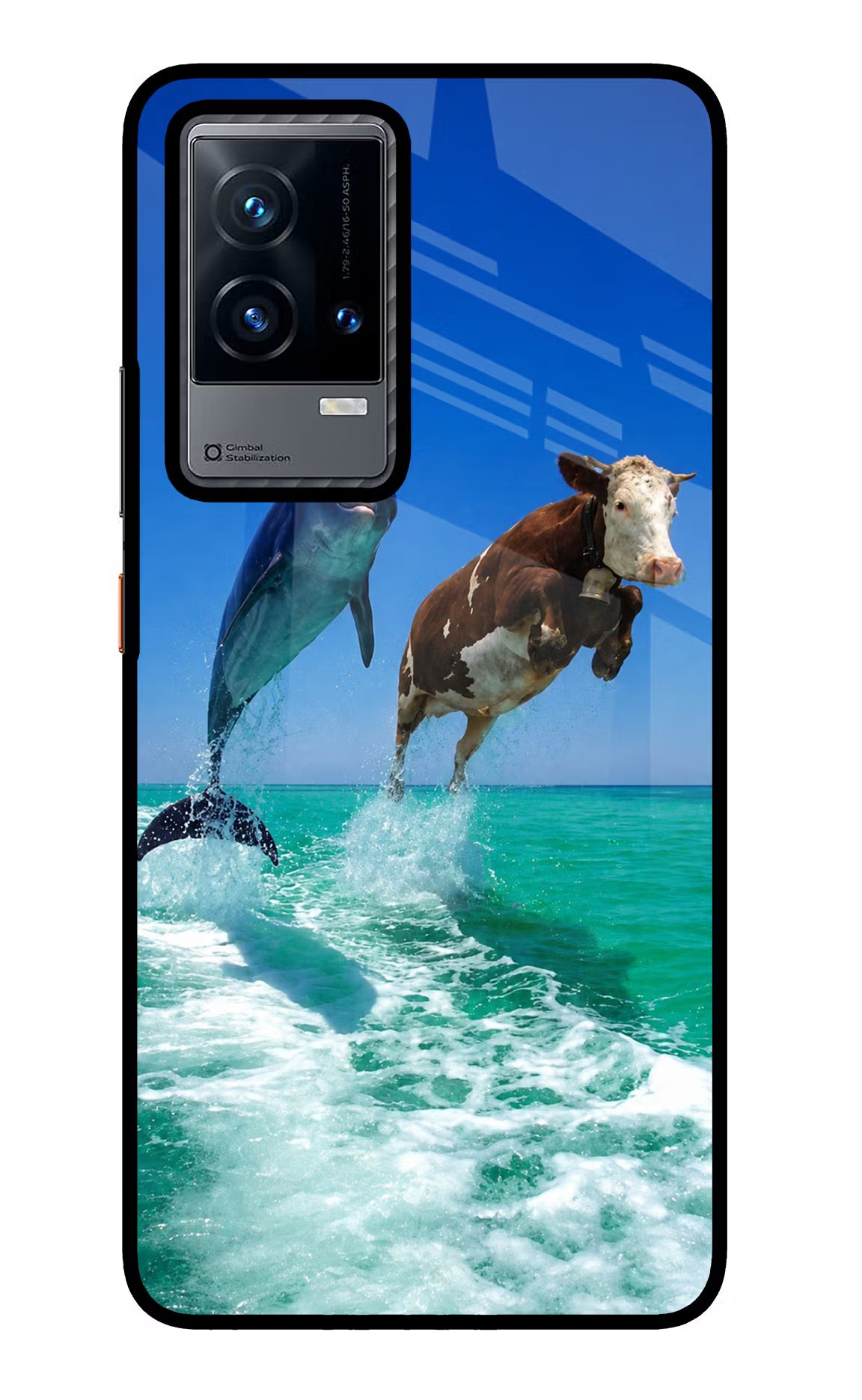 Dolphin vs Cow iQOO 9 5G Glass Case
