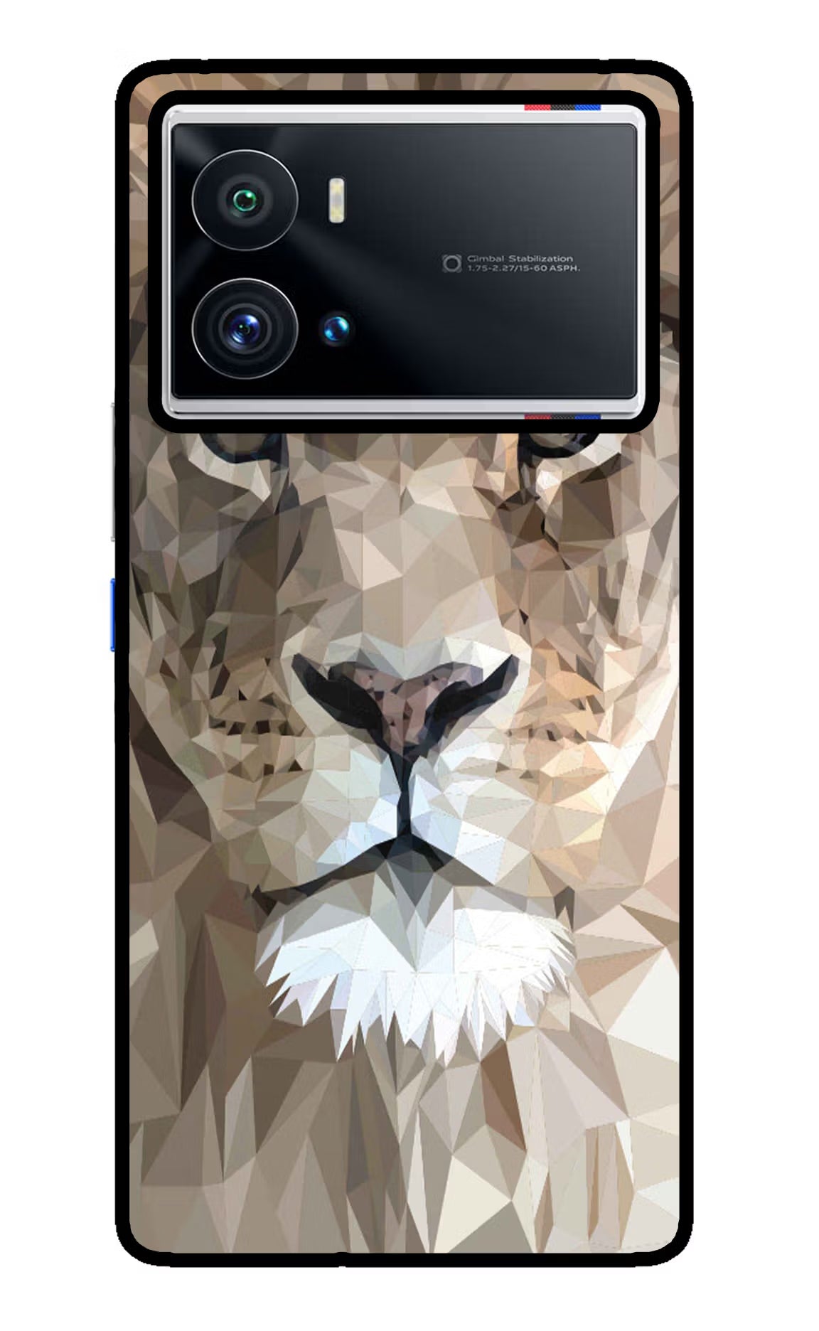 Lion Art iQOO 9 Pro 5G Glass Case Back Cover by Casekaro