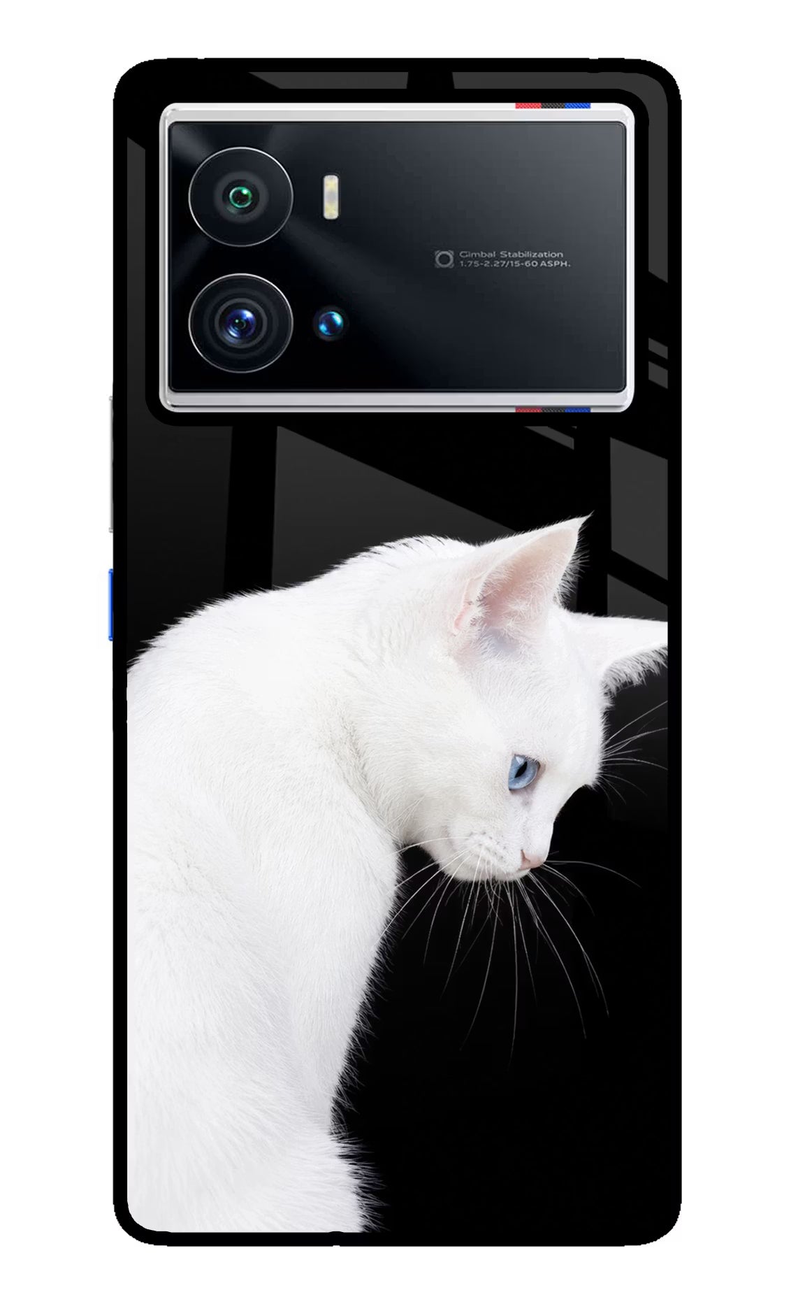 Snow Gaze iQOO 9 Pro 5G Glass Case