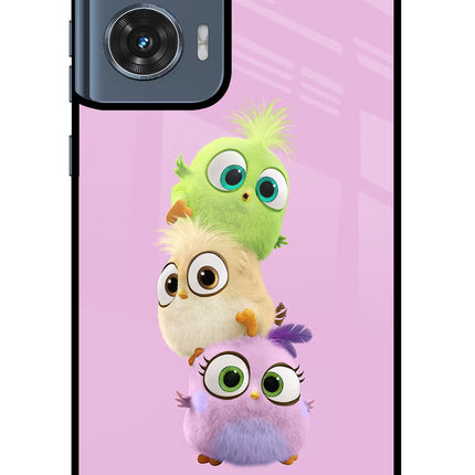 Cute Little Birds Moto Edge 50 Fusion Glass Case Back Cover by Casekaro