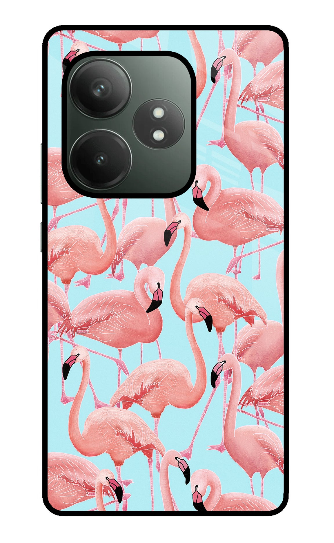 Flamboyance Realme GT 6T 5G Glass Case