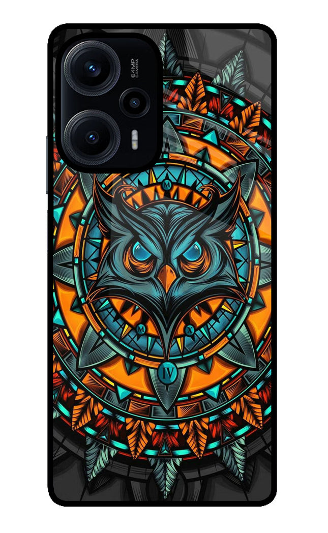 Angry Owl Art Poco F5 5G Glass Case