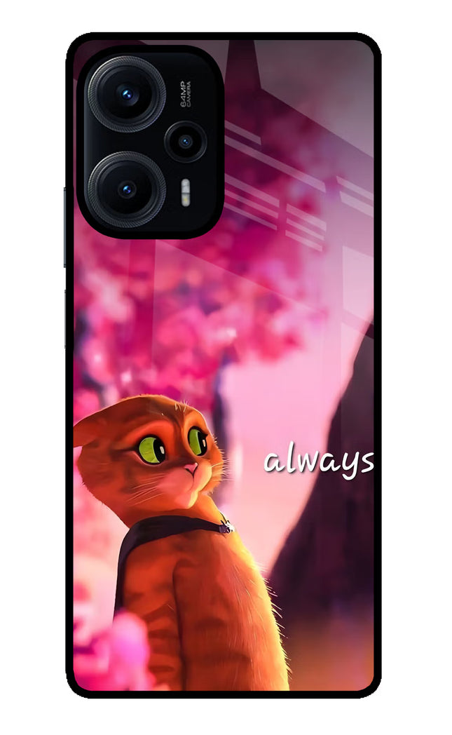 Always Cat Poco F5 5G Glass Case
