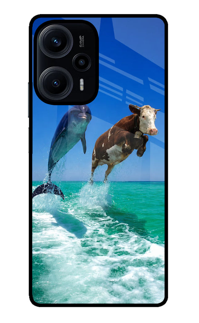 Dolphin vs Cow Poco F5 5G Glass Case