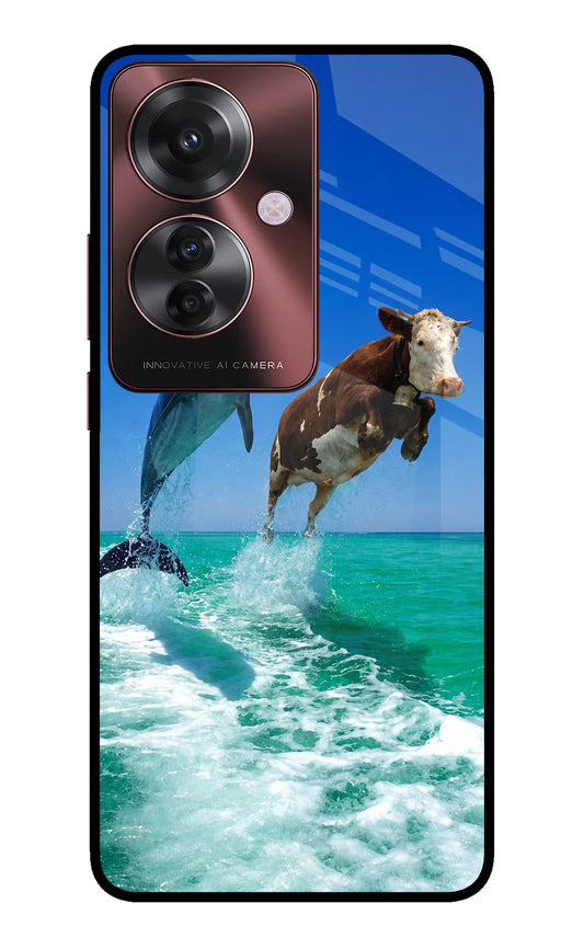 Dolphin vs Cow Oppo F25 Pro 5G Glass Case
