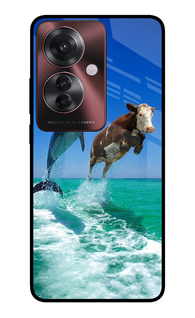 Dolphin vs Cow Oppo F25 Pro 5G Glass Case