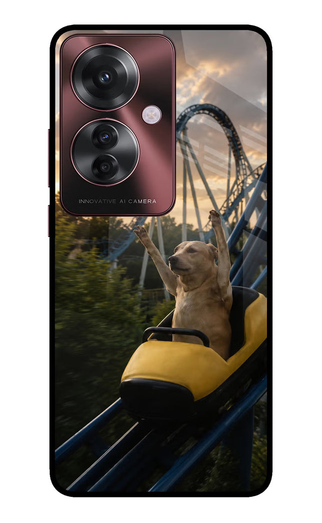 Rollercoaster Dog Oppo F25 Pro 5G Glass Case