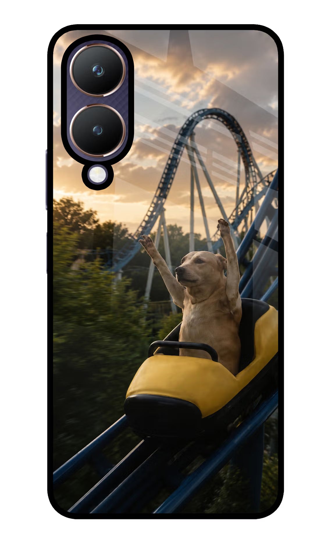 Rollercoaster Dog Vivo Y28 5G Glass Case