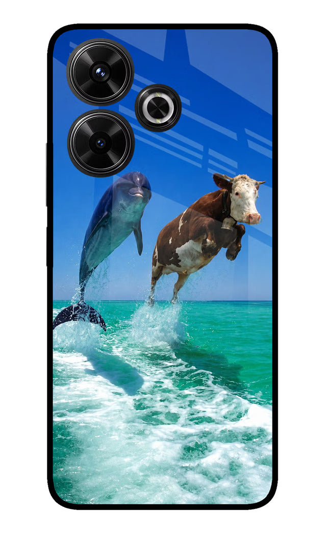 Dolphin vs Cow Redmi 13 5G Glass Case
