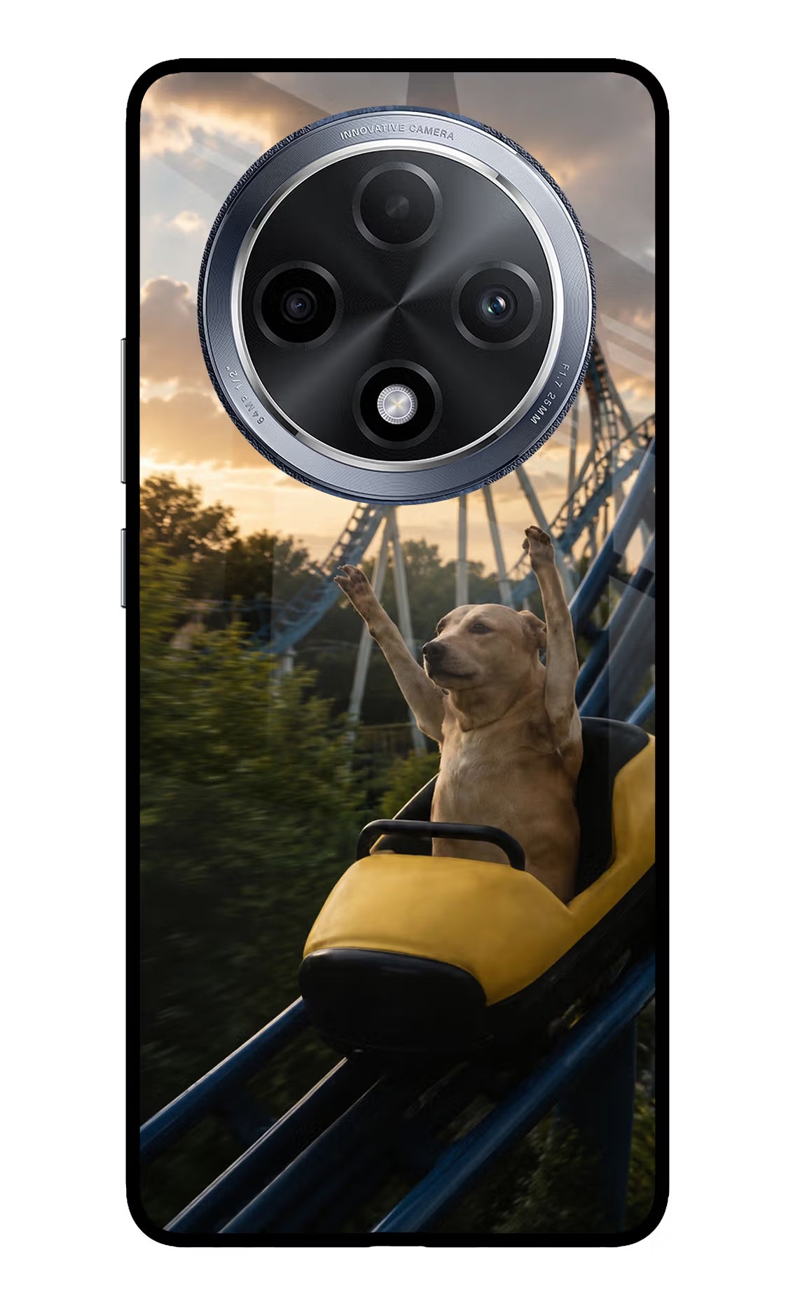 Rollercoaster Dog Oppo F27 Pro Glass Case