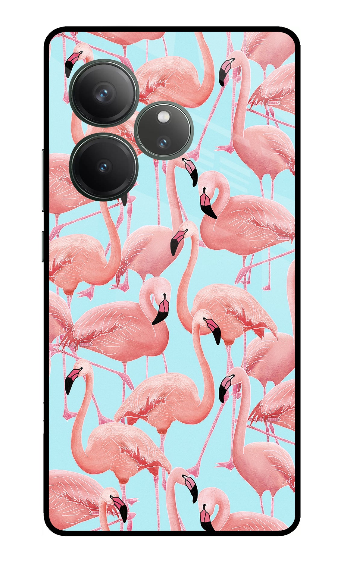 Flamboyance Realme GT 6 Glass Case